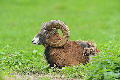 Roguelite风格FPS《巫火》DLSS3实机预告片分享